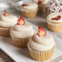 Read Yorkvilles Reviews